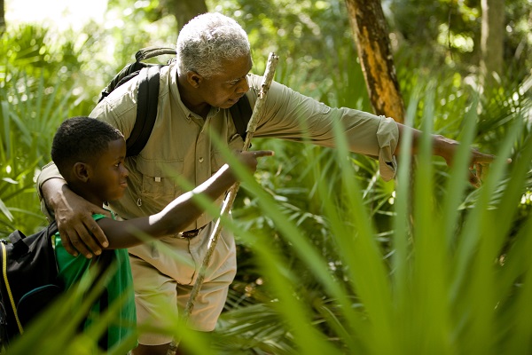 Grandfather with grandson in a forest, pointing to something in the distance